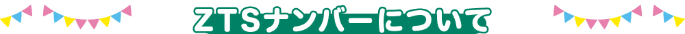 ZTSナンバーについて