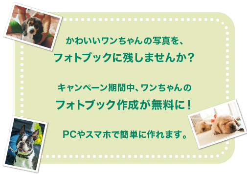 かわいいワンちゃんの写真を、フォトブックに残しませんか?キャンペーン期間中、ワンちゃんのフォトブック作成が無料に!PCやスマホで簡単に作れます。